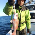 11月20日 釣果情報