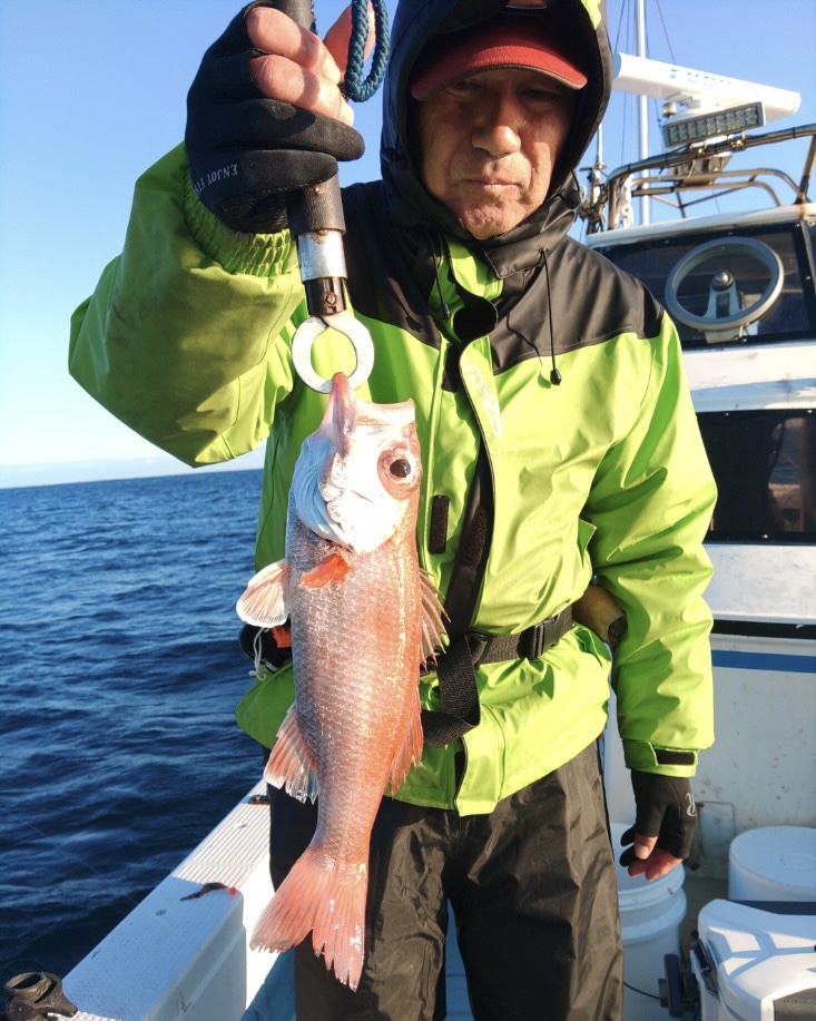 11月20日 釣果情報