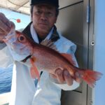 11月22日 釣果情報