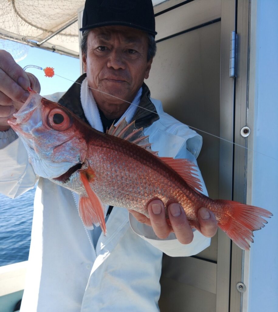 11月22日 釣果情報
