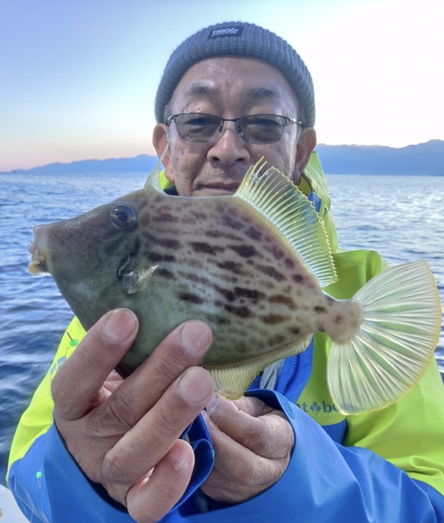 11月23日 釣果情報