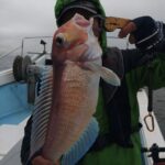 12月10日 釣果情報