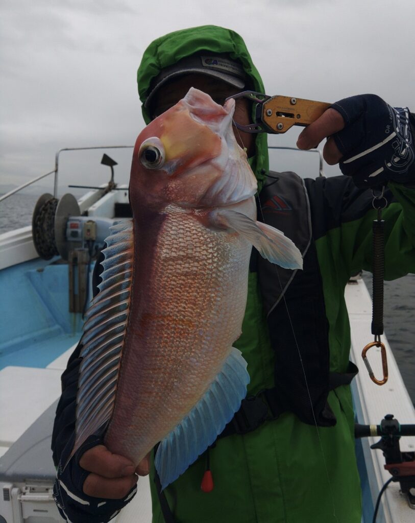 12月10日 釣果情報