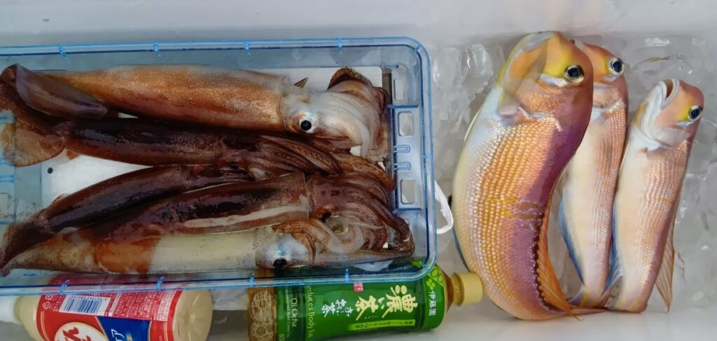 1月4日 釣果情報