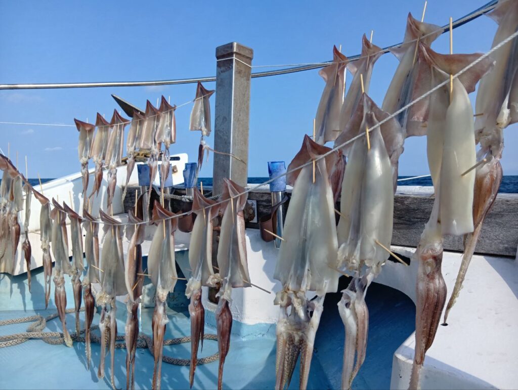 1月18日 釣果情報