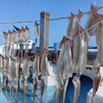 1月18日 釣果情報