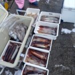 2月9日 釣果情報