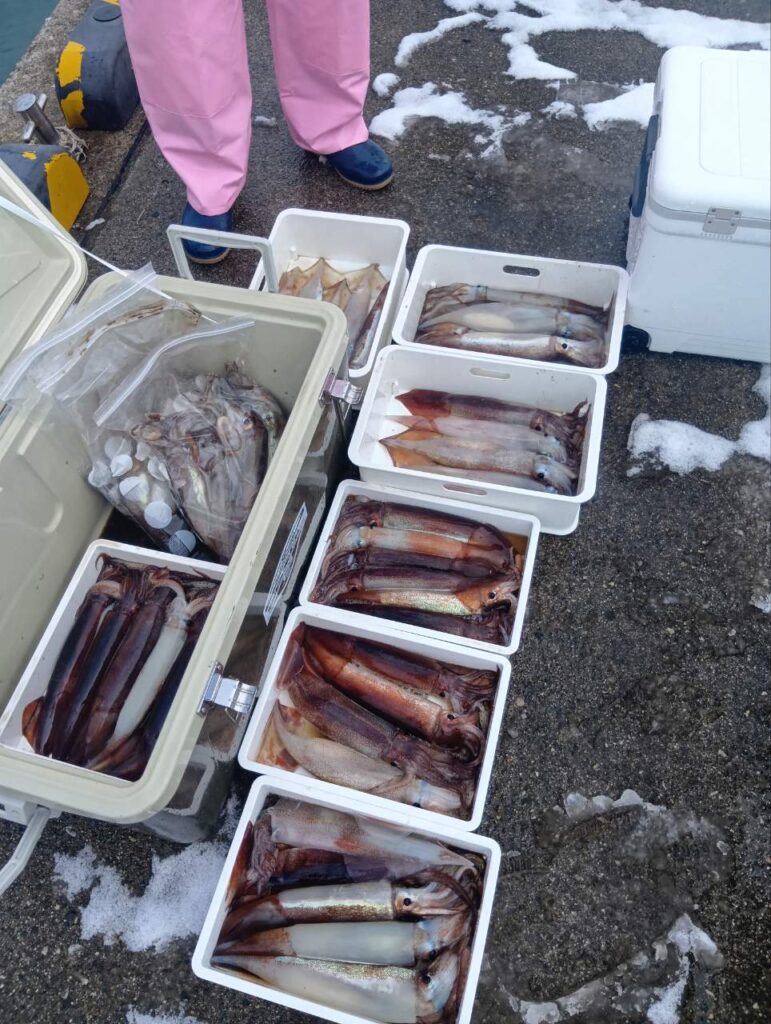 2月9日 釣果情報