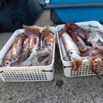 2月10日 釣果情報