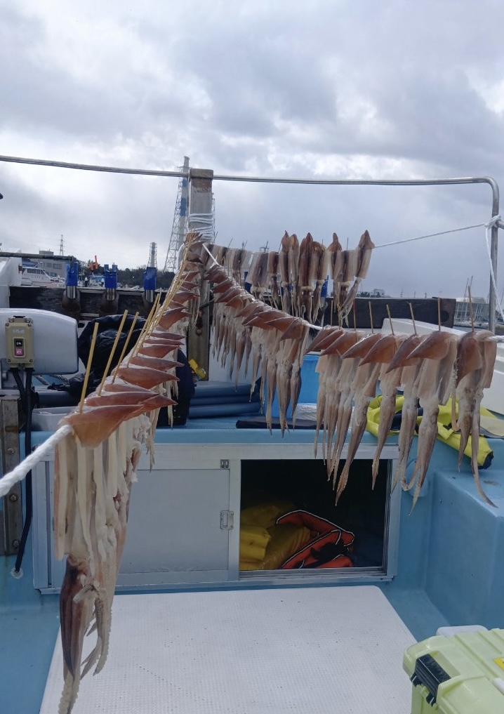 2月18日 釣果情報