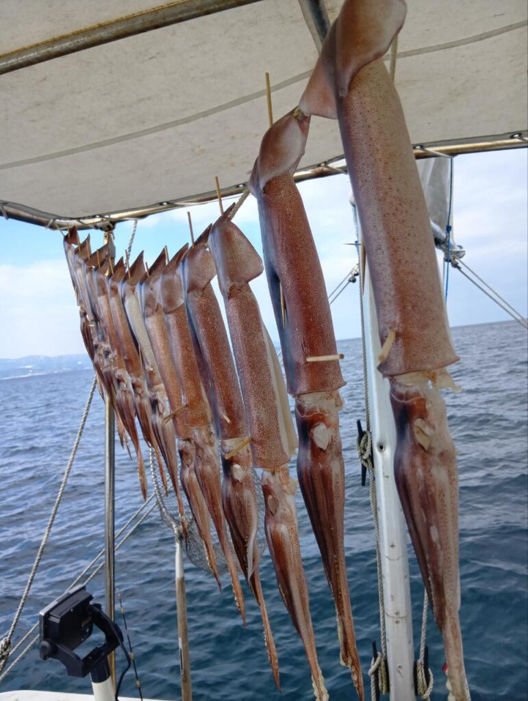2月5日 釣果情報