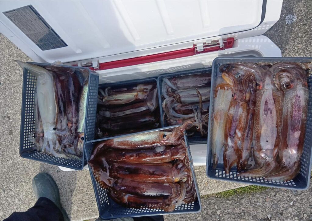 2月20日 釣果情報