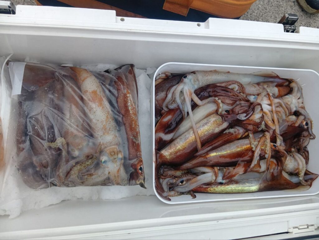 2月28日 釣果情報