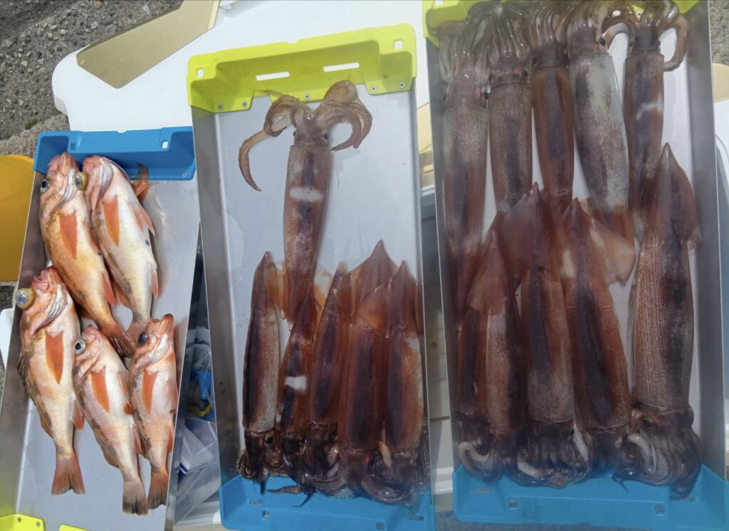 3月22日 釣果情報