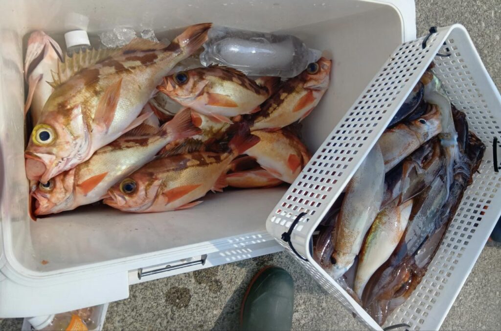 3月30日 釣果情報