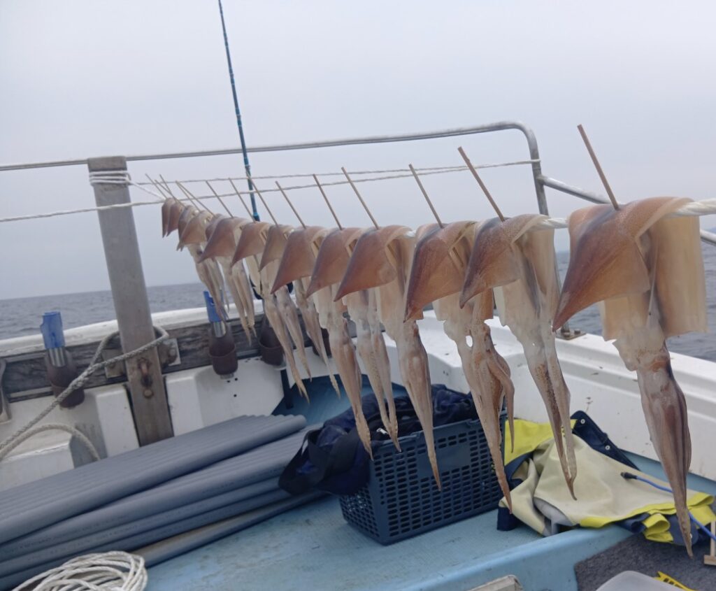 3月25日 釣果情報