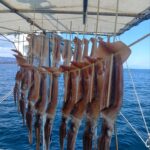 3月9日 釣果情報