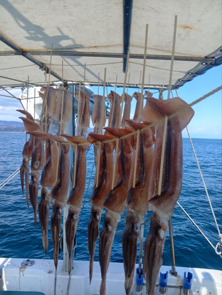 3月9日 釣果情報