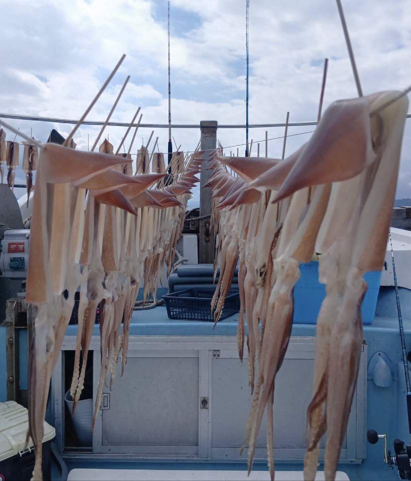 3月19日 釣果情報