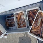 3月5日 釣果情報