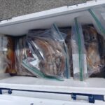 3月17日 釣果情報