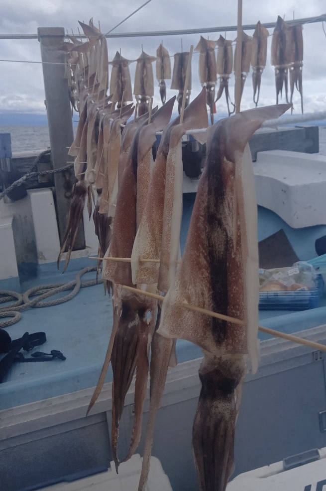 3月15日 釣果情報