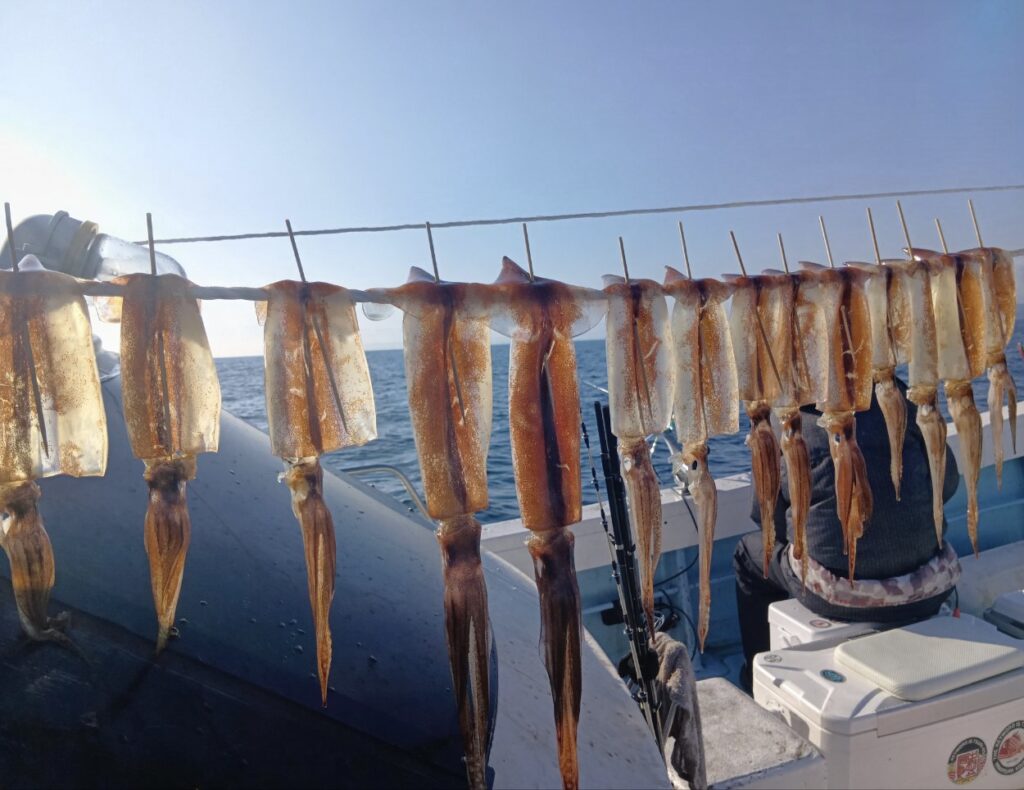 3月27日 釣果情報