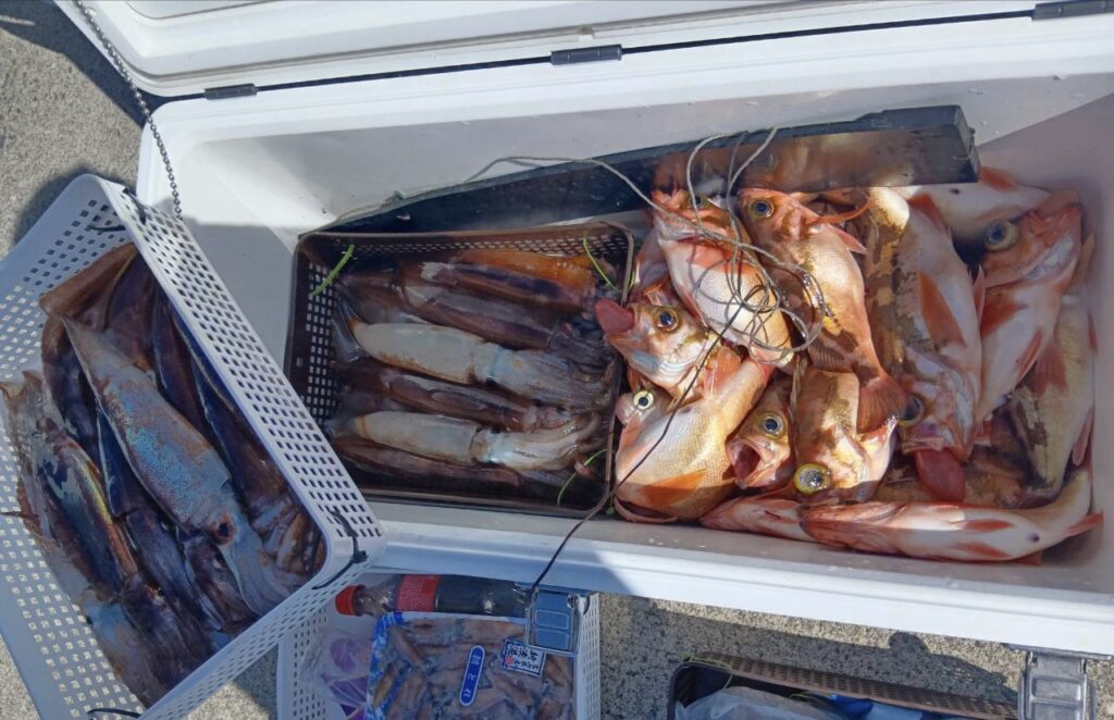 3月11日 釣果情報