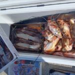 3月11日 釣果情報