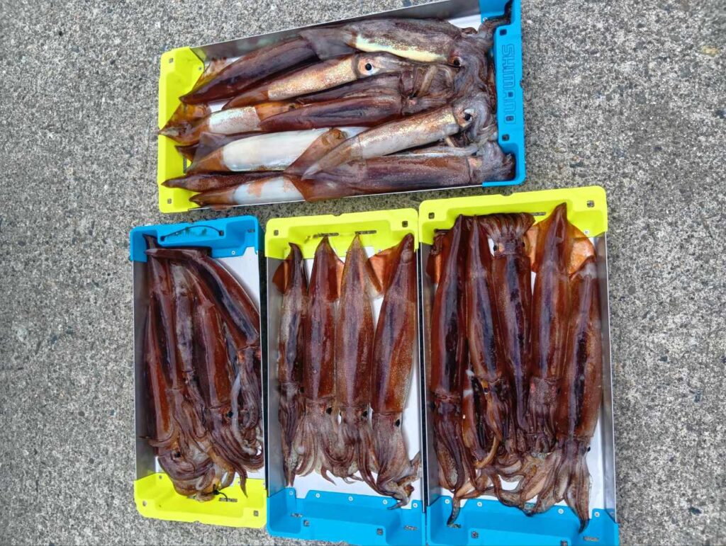 3月10日 釣果情報