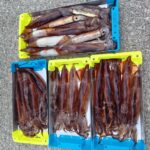 3月10日 釣果情報