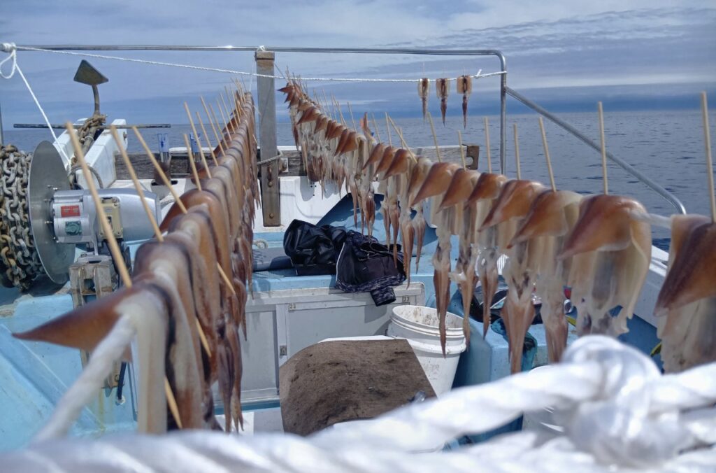 4月5日 釣果情報