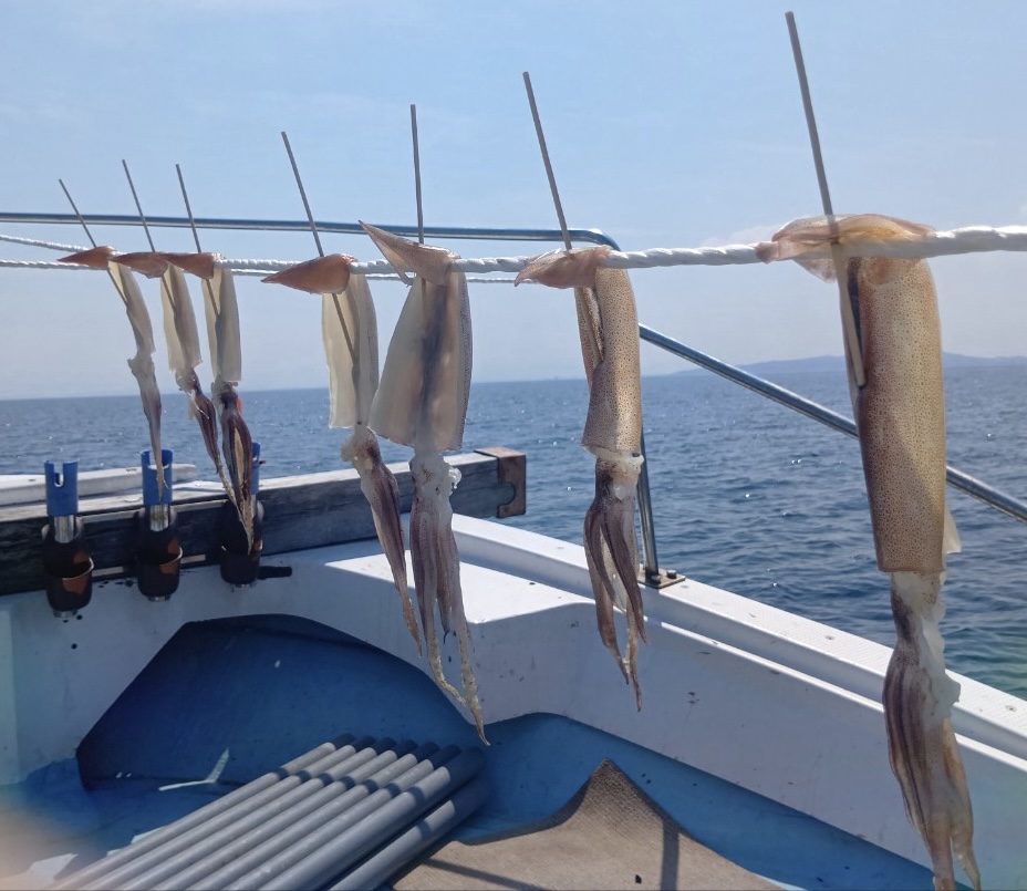 4月3日 釣果情報