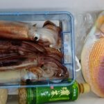 1月4日 釣果情報