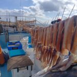 2月19日 釣果情報