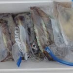 2月26日 釣果情報