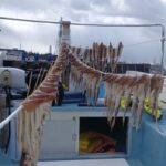 2月18日 釣果情報