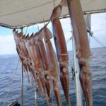 2月5日 釣果情報