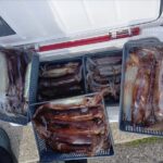 2月20日 釣果情報