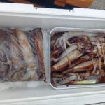 2月28日 釣果情報