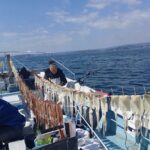 3月16日 釣果情報