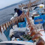 3月18日 釣果情報