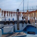 3月24日 釣果情報