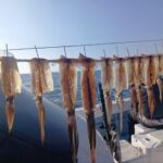 3月27日 釣果情報