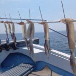 4月3日 釣果情報